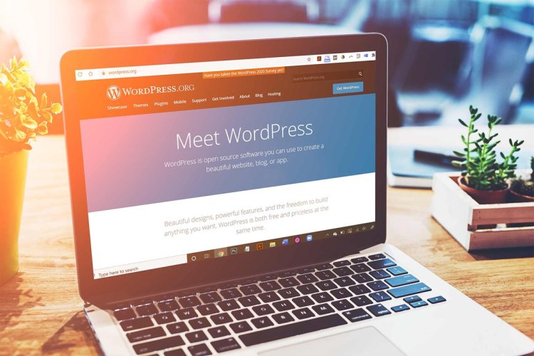 What Is WordPress And Why Is It Ideal For Small Businesses?