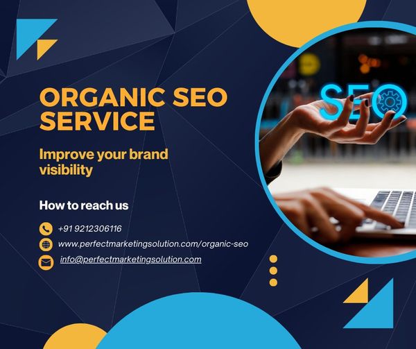 MaintainRank Your Eco-Friendly Natural SEO Company
